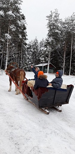 Катание на санях