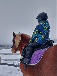 Занятия верховой ездой Выборг