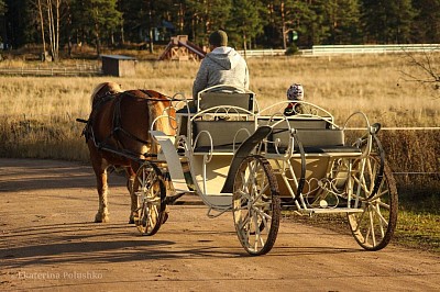 Кареты в Выборге